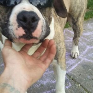 Meet your Posher, Jeffery